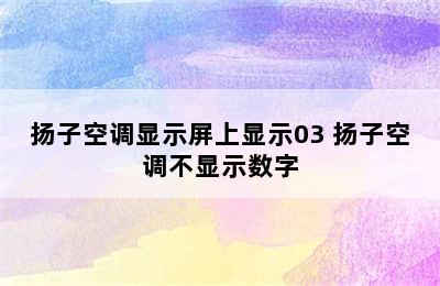 扬子空调显示屏上显示03 扬子空调不显示数字